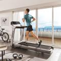 HORIZON PARAGON X TREADMILL