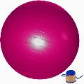 GYM EXERCISE FITNESS SWISS BALL + Free pump