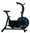 Healthstream Fan Bike