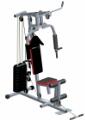 Healthstream HS200G Home Gym