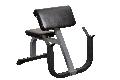 YORK FTS Preacher Curl Bench