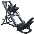 Leg Press / Hack Squat